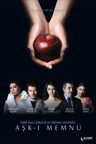 Постер сериала Запретная любовь