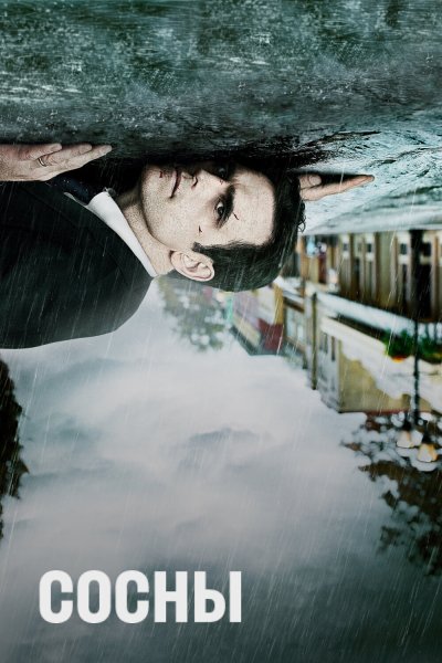 Постер сериала Сосны