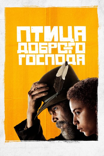 Постер сериала Птица доброго господа
