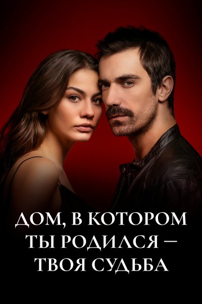 Постер сериала Дом, в котором ты родился - твоя судьба