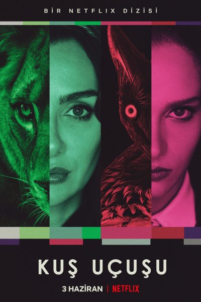Постер сериала Полёт птицы